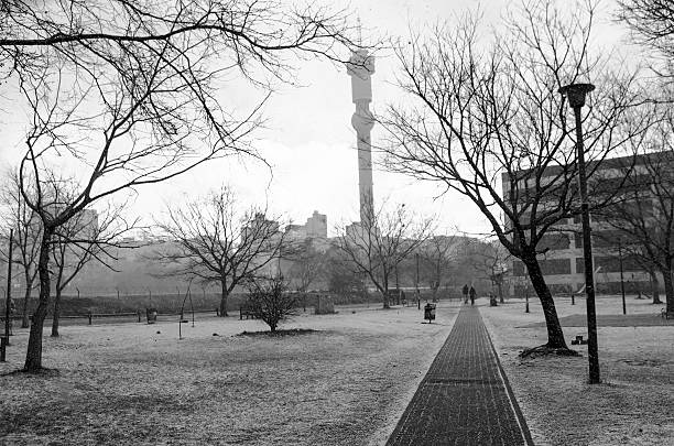 Johannesburg Tower in Hillbrow seen with the Snow in the park today on the 7th August 2012. Snow was last seen in Johannesburg in September 11th 1981.