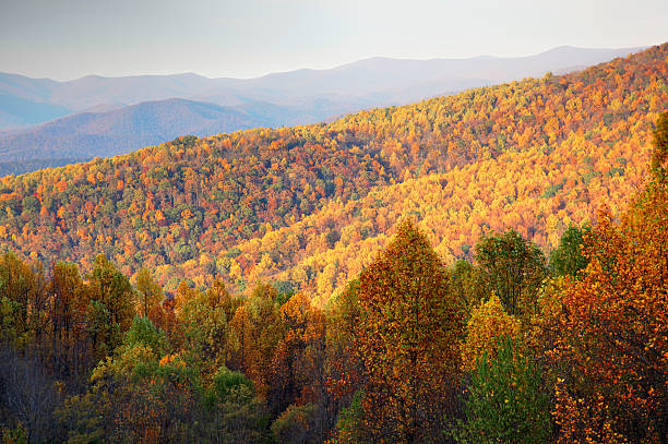 Blue Ridge Mountains in Autumn