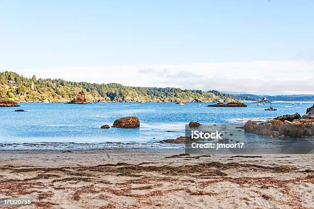 Photo libre de droit de Trinidad Vue Sur La Baie banque d'images et plus d'images libres de droit de Baie - Eau - Baie - Eau, Californie du Nord, Destination de voyage