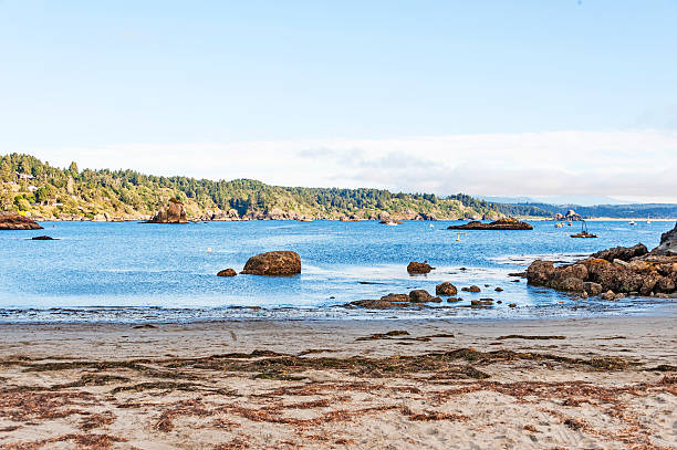 istock Trinidad Bay Views 171320758
