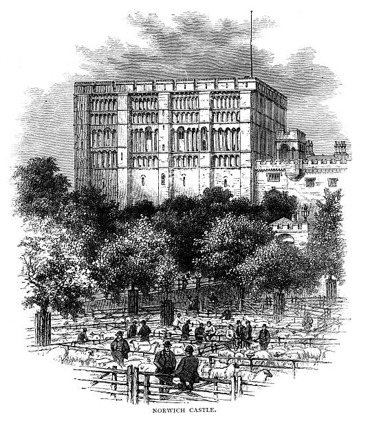 Norwich castle  from 1883 journal engraving of this familiar landmark in the 19th centurysheep market in foregroundfrom The Girls Paper Annual 1883 norfolk stock illustrations