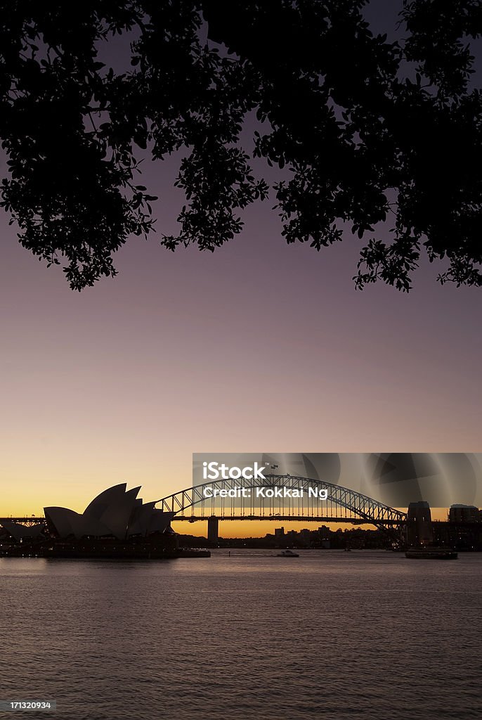 Sydney da Mrs Macquaries Point (noite) - Foto de stock de Ponte do Porto de Sydney royalty-free