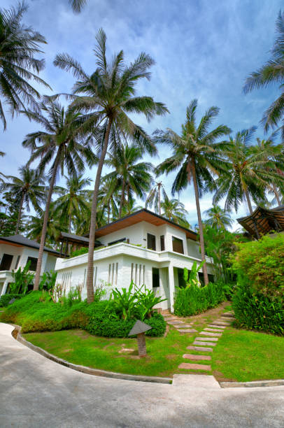 istock Luxury and Exotic Villa In The Tropics 171320960