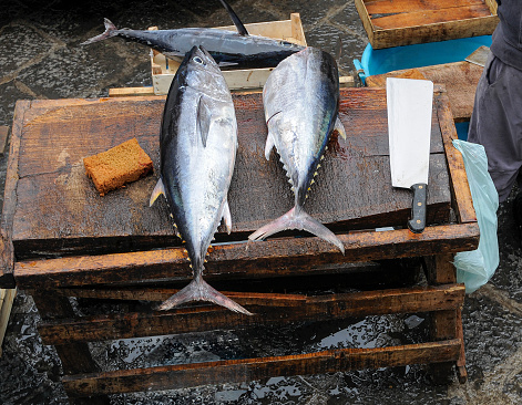 Freshly caught tuna at an Italian fish market.