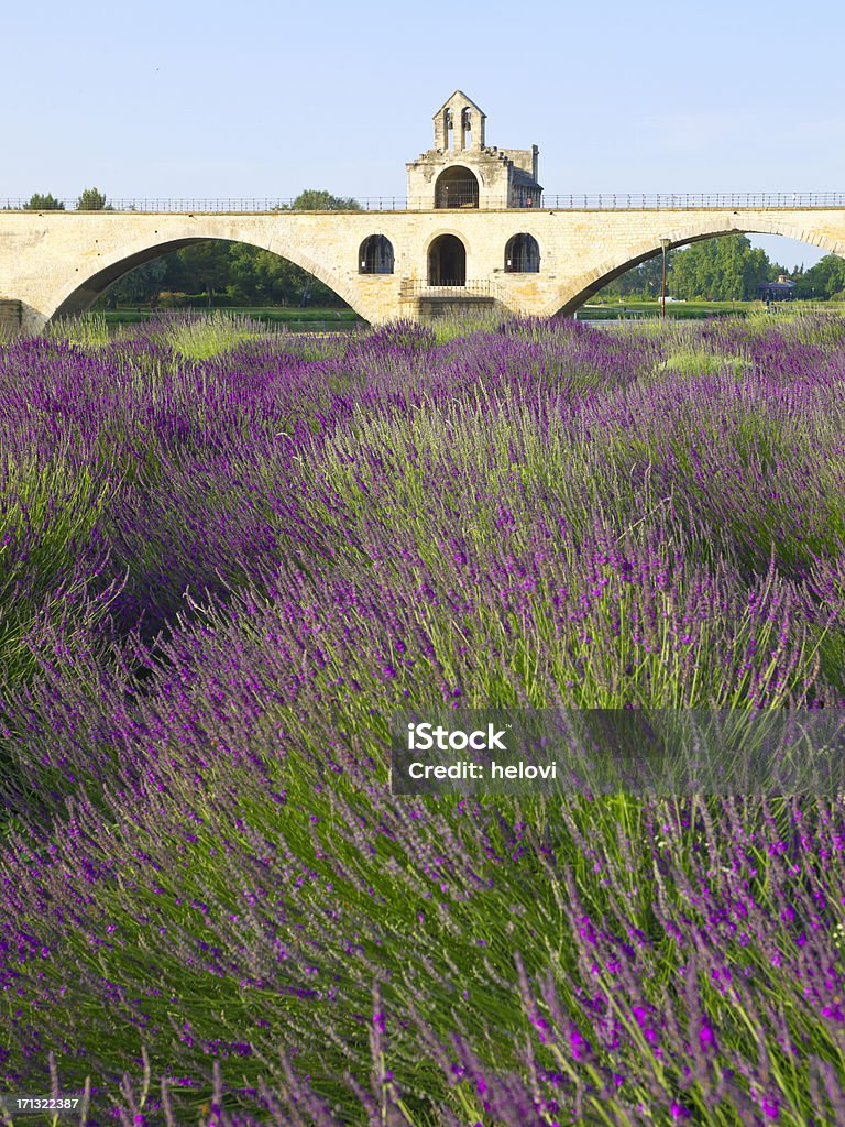 Ponte em Avignon - Foto de stock de Avignon royalty-free