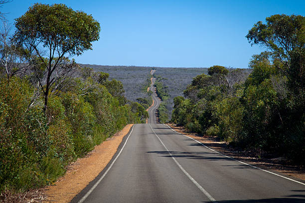 Long Road in Kangaroo Island Long tortuous road in Kangaroo Island. flinders chase national park stock pictures, royalty-free photos & images