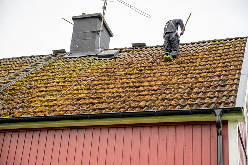Workers cleaning roof tiles covered in moss Kumla Sweden september 29 2023
