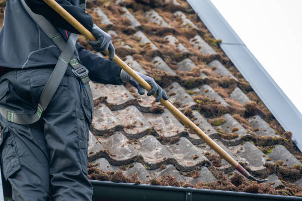 istock Workers cleaning roof tiles covered in moss 1713229963