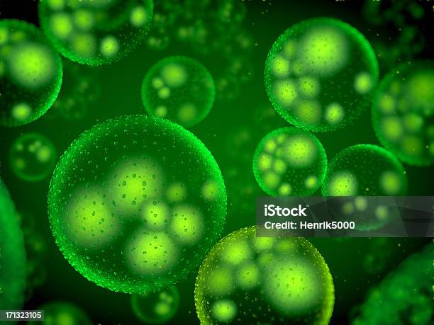 Foto de Bactéria e mais fotos de stock de Verde - Descrição de Cor - Verde - Descrição de Cor, Bactéria, Clorofila