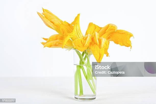 Fiori Di Zucca - Fotografie stock e altre immagini di Alimentazione sana - Alimentazione sana, Arancione, Bianco