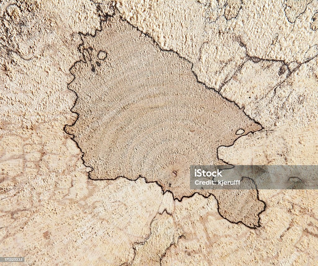 Decayed bois avec Zone lignes - Photo de Arbre libre de droits