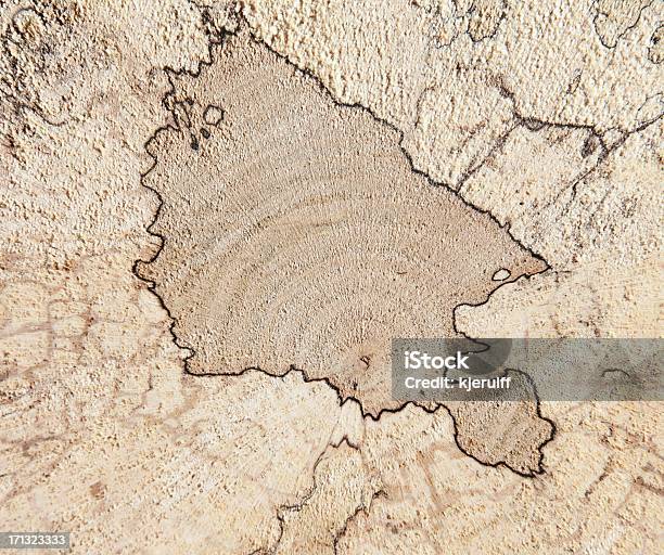 Photo libre de droit de Decayed Bois Avec Zone Lignes banque d'images et plus d'images libres de droit de Arbre - Arbre, Coupe transversale, Organisme fongique