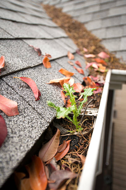 istock Rain gutter full of leaves and debris 171323974