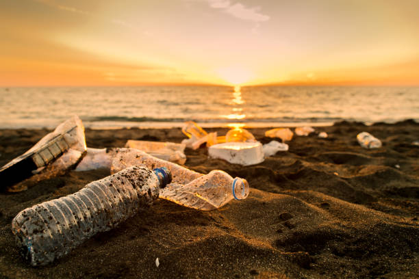 istock Discarded plastic waste on the beach in sunset. Environmental pollution and ecological problems concept. 1713243914