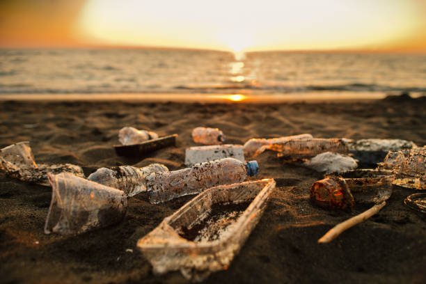 istock Discarded plastic waste on the beach in sunset. Environmental pollution and ecological problems concept. 1713244365