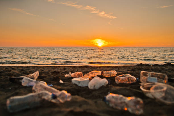 istock Discarded plastic waste on the beach in sunset. Environmental pollution and ecological problems concept. 1713244434