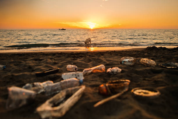istock Discarded plastic waste on the beach in sunset. Environmental pollution and ecological problems concept. 1713244445