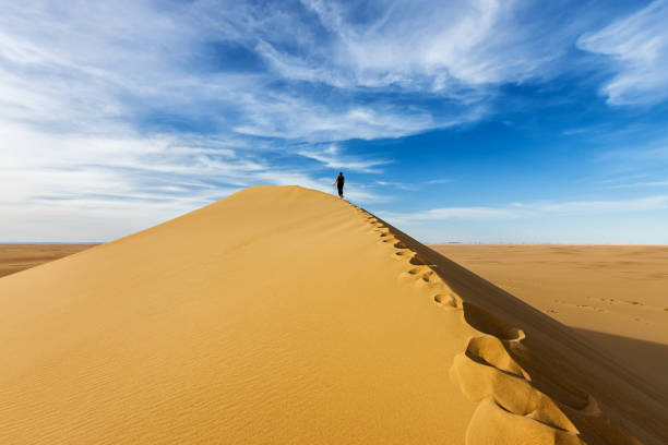 mujer de pie turísticas en la parte superior de sandune, desierto del sáhara - great sand sea fotografías e imágenes de stock