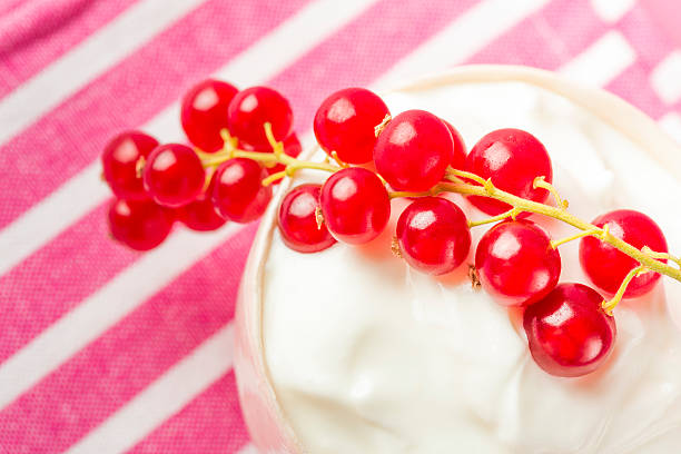 homemade vanilla mousse with red currants