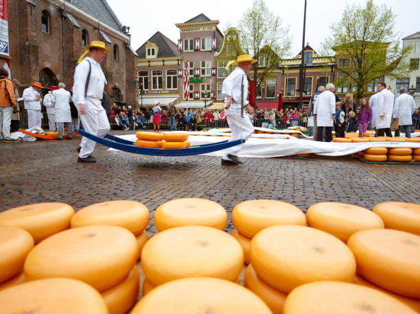 Dutch Cheese Market "Alkmaar, Netherlands - May 4, 2012: Typical dutch cheese market takes place every Friday in Alkmaar where tons of cheese weighed, sold and carried on special trolleys by strong man in traditional clothing. This event also attracts a lot of tourists." cheese market stock pictures, royalty-free photos & images