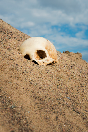 Human skull in sand