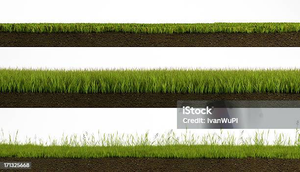 Isolated Grass Stock Photo - Download Image Now - Grass, Cross Section, Dirt