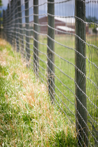 Fence line on a rural farm.