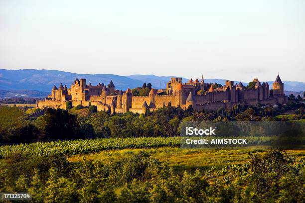 France Carcassonne Stock Photo - Download Image Now - Carcassonne, France, Vineyard