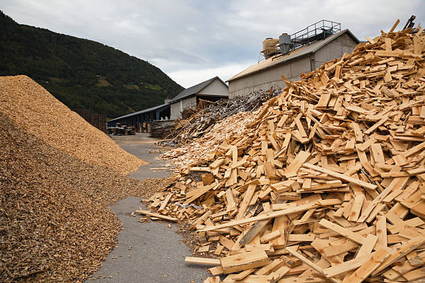 resíduos de madeira para reciclagem - carpenter construction garbage ruined imagens e fotografias de stock