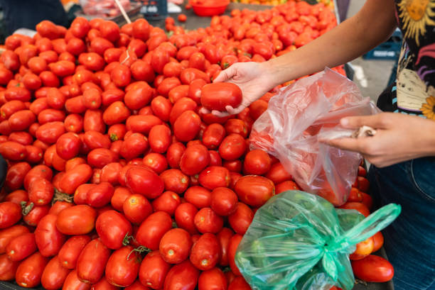 istock woman choosing tomatoes from the grocery store 1713263785