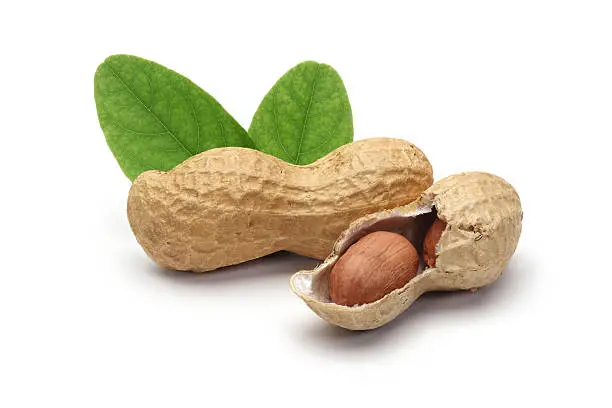 shelled peanuts