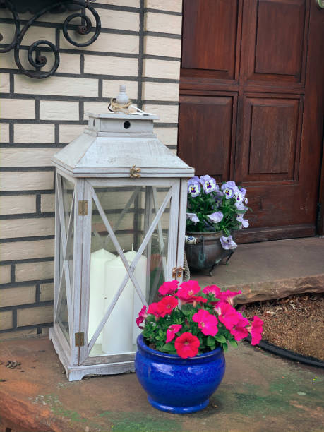 istock Flowers at home 1713264311