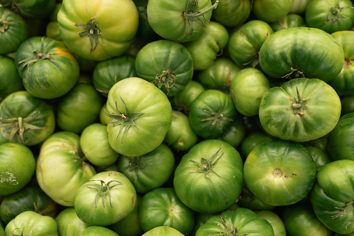 Fresh green tomatoes stacked at the grocery store