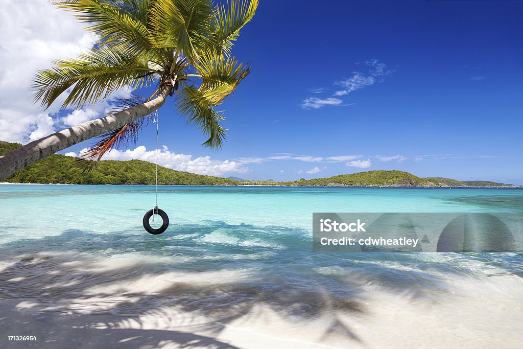 Balançoire pneu sur un palmier sur la plage dans les Caraïbes - Photo de Balançoire pneu libre de droits