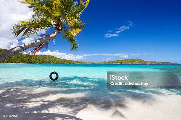 Photo libre de droit de Balançoire Pneu Sur Un Palmier Sur La Plage Dans Les Caraïbes banque d'images et plus d'images libres de droit de Balançoire pneu