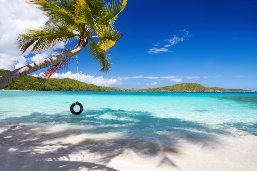 tire swing hanging from a coconut palm tree at a beautiful beach in the Caribbean