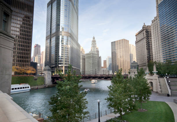 istock Chicago panorama in the summer 171327302