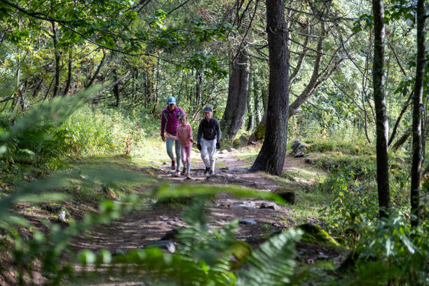 istock Mother and two children enjoy a hike through a forest 1713273394