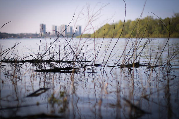 istock River near the city 171327354
