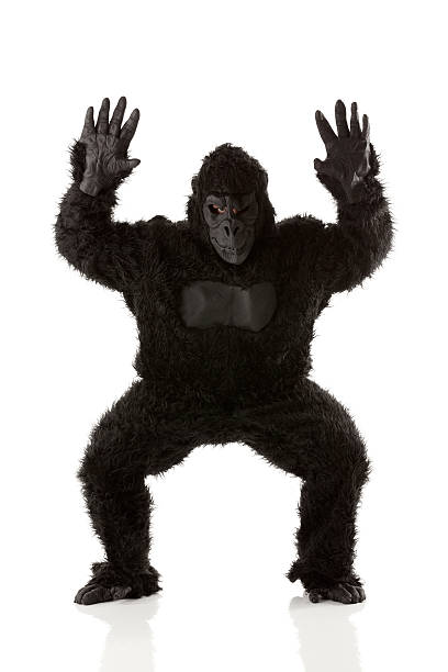 Man gesturing in gorilla costume Man gesturing in gorilla costumehttp://www.twodozendesign.info/i/1.png gorilla photos stock pictures, royalty-free photos & images