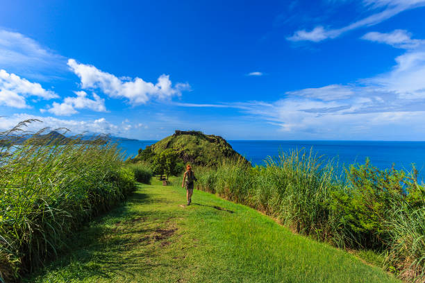 istock Pigeon Island National Park, St. Lucia 171327584