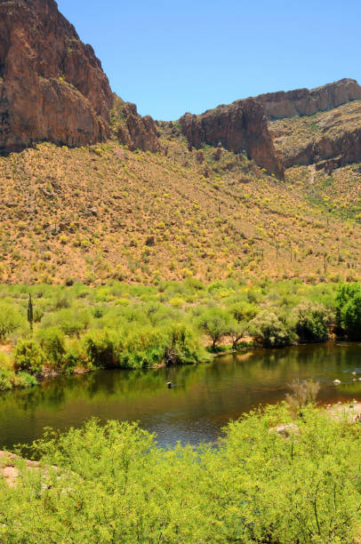 istock Salt River Recreation Area Arizona 1713279382