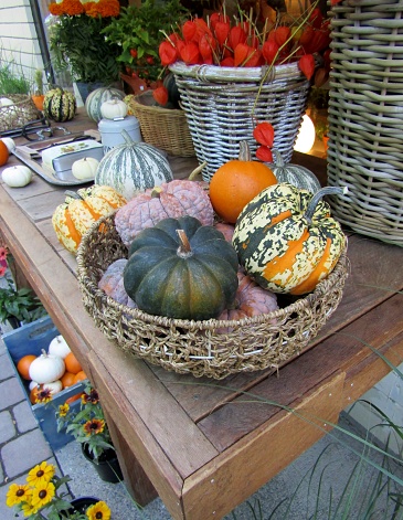 Pumpkins, squash, gourds fruits and Chinese Lanterns Physalis lying in wooden table