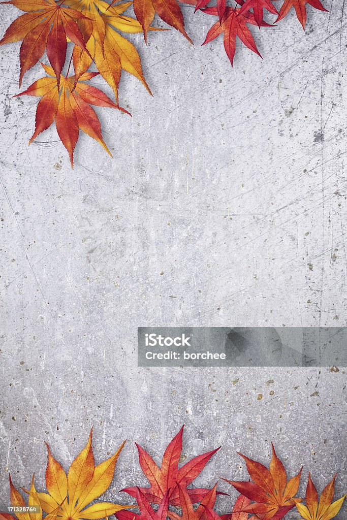 Autumn Frame Autumn leaves on a silver grungy background. Autumn Stock Photo