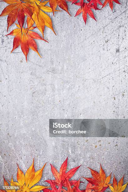 Autumn Frame Stock Photo - Download Image Now - Autumn, Backgrounds, Border - Frame