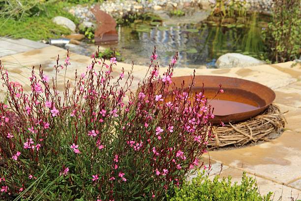istock Wonderful garden scene 171329506