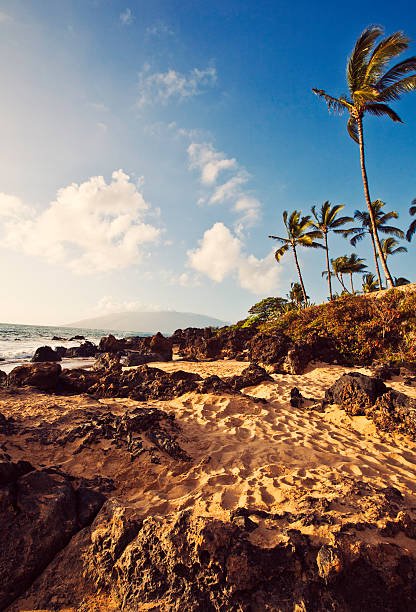 istock Kihei Cove - Charlie Young Beach 171329624