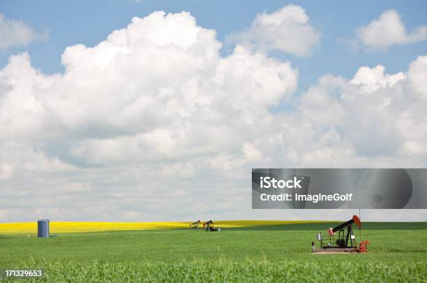 Pumpjack В Большой Пшеничное Поле — стоковые фотографии и другие картинки Нефть - Нефть, Прерия, Альберта