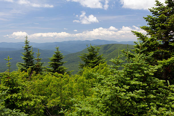 istock Summer Mountain Vista 171330183