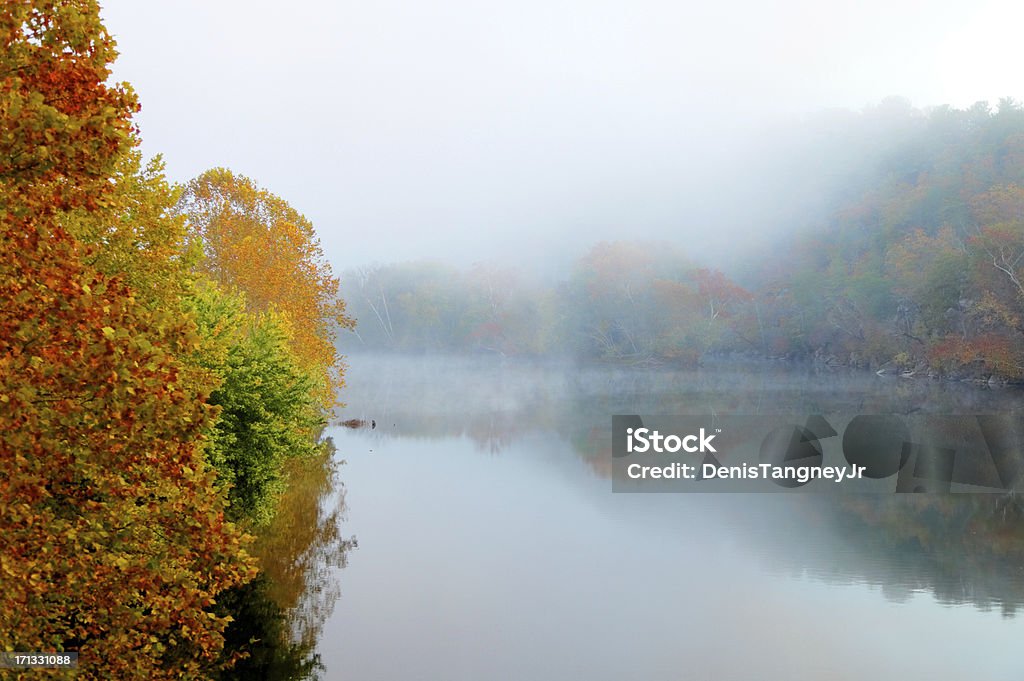 Autumn Mist - Foto de stock de Agua libre de derechos